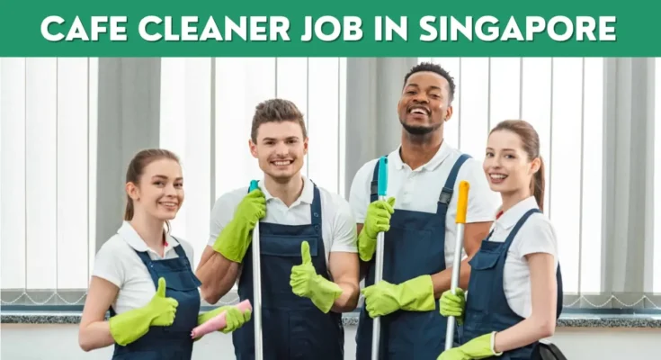 Cafe Cleaner Job
